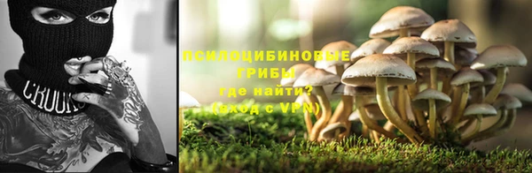 спиды Алексеевка