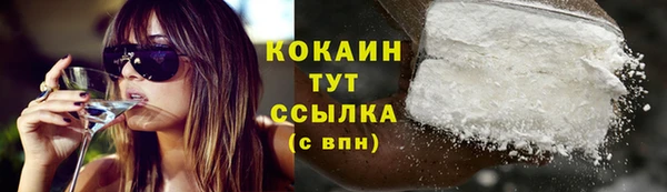 кокс Алексин