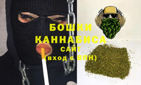 сатива Алзамай
