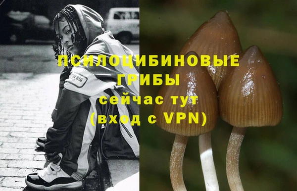 кокс Алексин