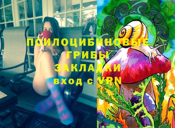 кокс Алексин