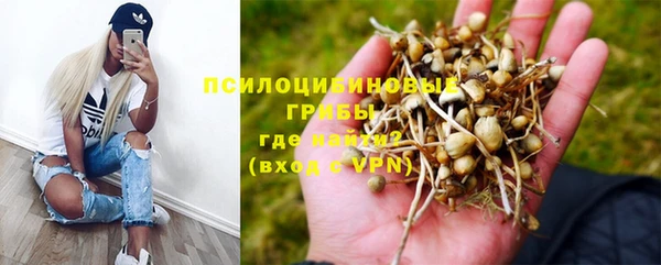 спиды Алексеевка