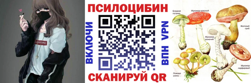 Псилоцибиновые грибы прущие грибы  купить   Алексеевка 