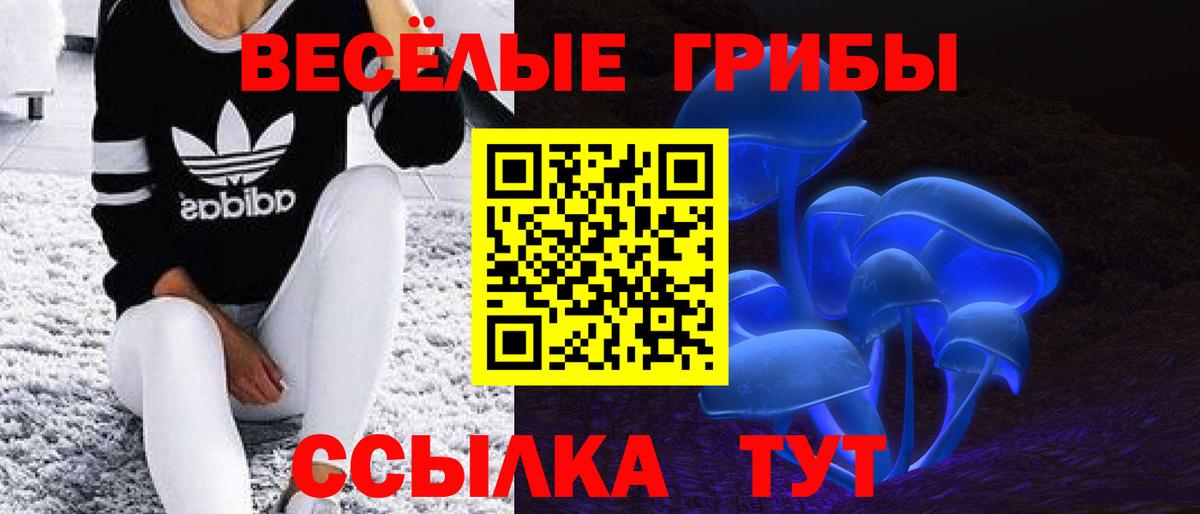 Галлюциногенные грибы Magic Shrooms  Вход с VPN  Алексеевка  Галлюциногенные грибы мухоморы 